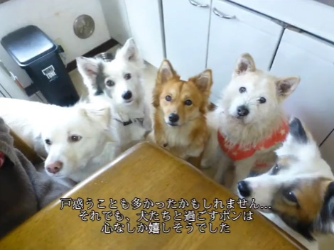 心なしかうれしそうでした