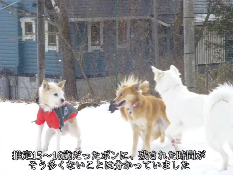 残された時間は少ない