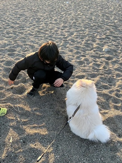 白ポメちゃんの成長