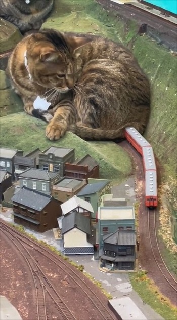 山の神々に通行を妨害されるジオラマ列車