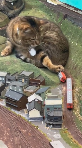 猫パンチ