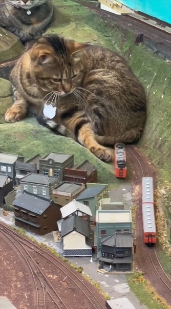 逆さまになる電車