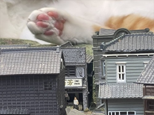 屋根の上に巨大な肉球が！