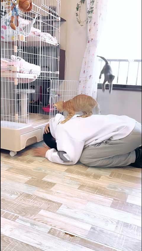 痛そうだけど笑う光景