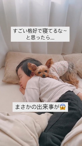 ワンコとお昼寝