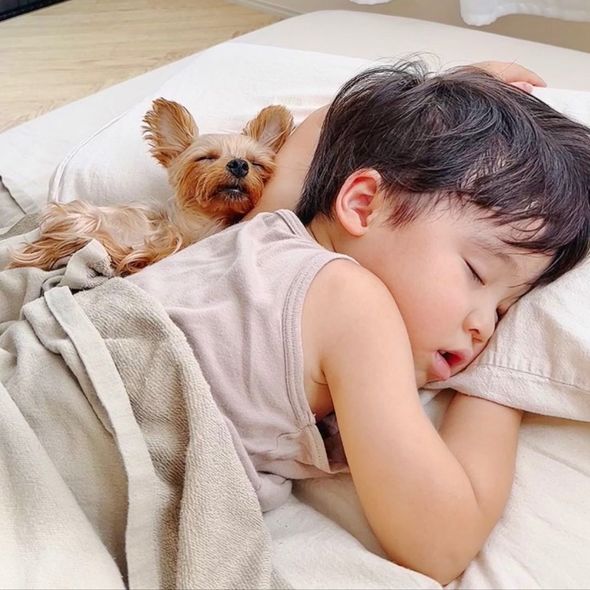 熟睡する子どもと犬