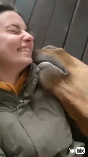 大爆笑する飼い主