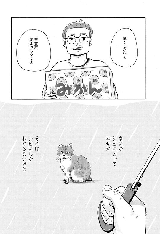 矢野満月「シビは寝ている」　死んだ愛猫を剥製にするかどうかで揉める二人の話