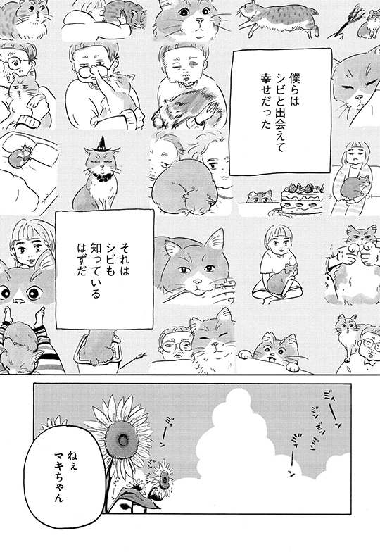 矢野満月「シビは寝ている」　死んだ愛猫を剥製にするかどうかで揉める二人の話