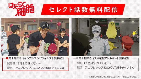 アニメ はたらく細胞 インフルエンザウイルス 無料配信 YouTube