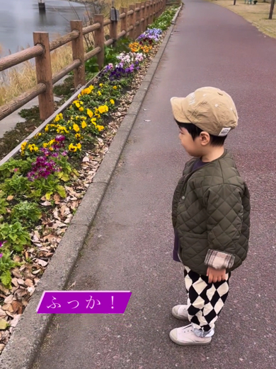 Snow Manのメンバーカラーを覚えた男の子