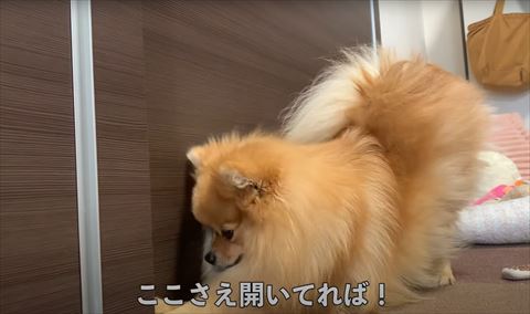 ここさえ開いてればテロップ