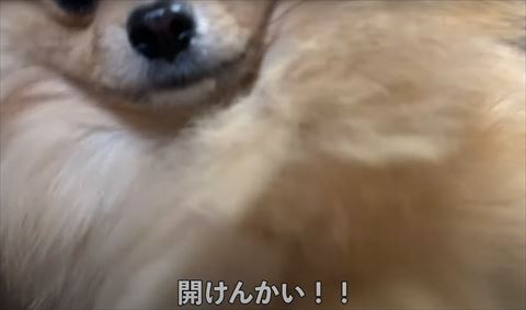 開けんかいテロップ