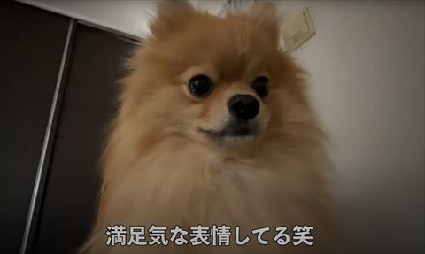 満足気な表情テロップ