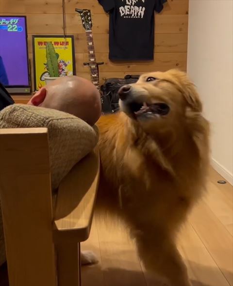 モッシュ過去