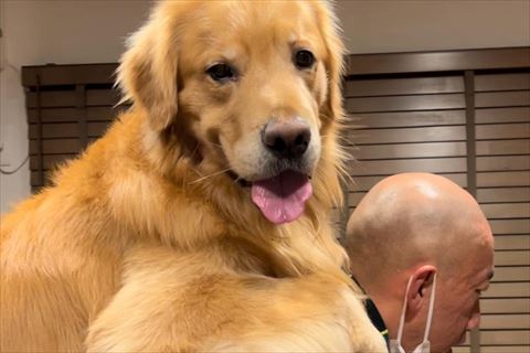 おんぶされるワンコ