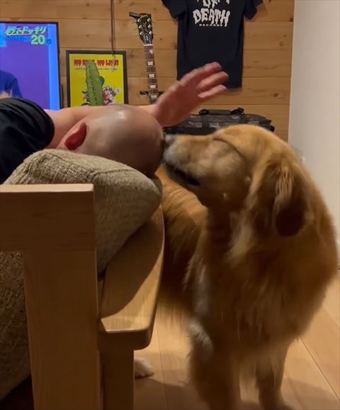 パパの頭を恍惚な表情でかぐ