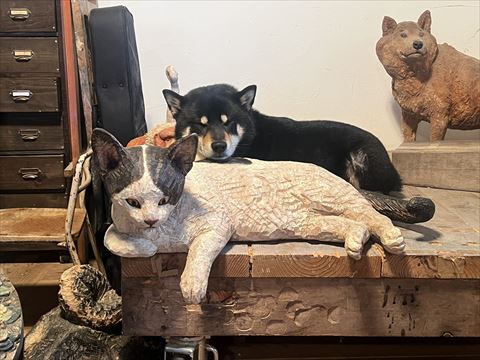木彫りにあごのせてる柴犬