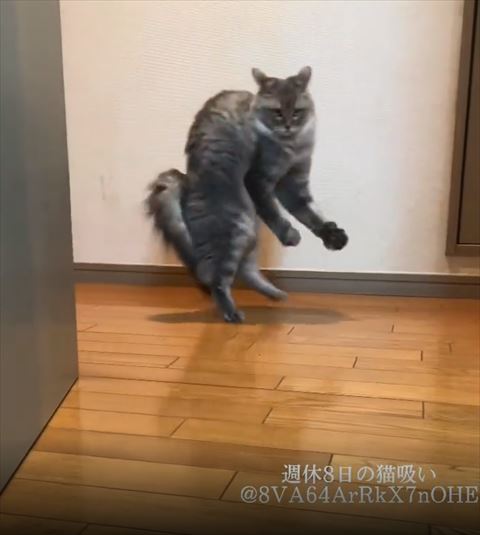 二足立ちセンター