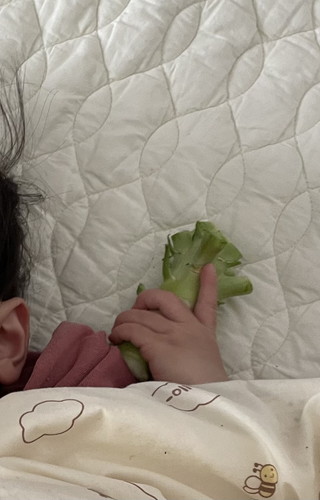 添い寝担当ブロッコリーの芯