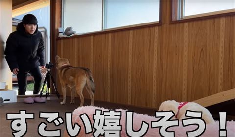 すごいうれしそうテロップ