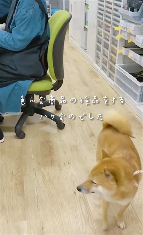 いろんな商品の検品をするテロップ