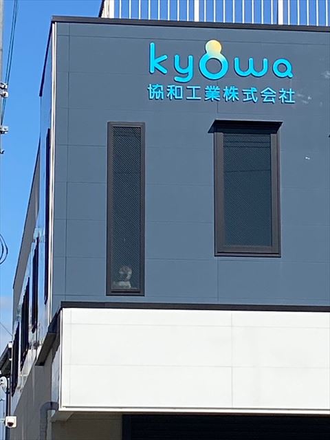 会社の窓にワンコ