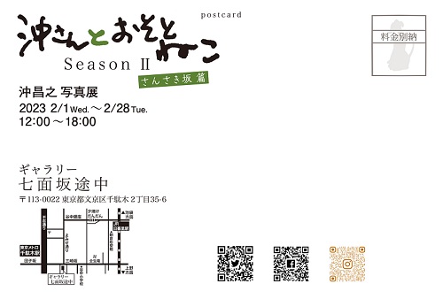 必死すぎるネコ