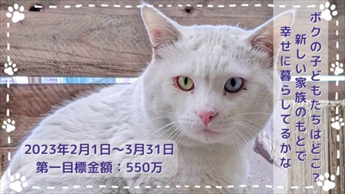 新玉旅館クラウドファンディング