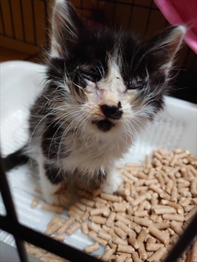 新玉旅館クラウドファンディング