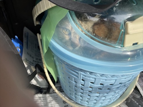 新玉旅館クラウドファンディング