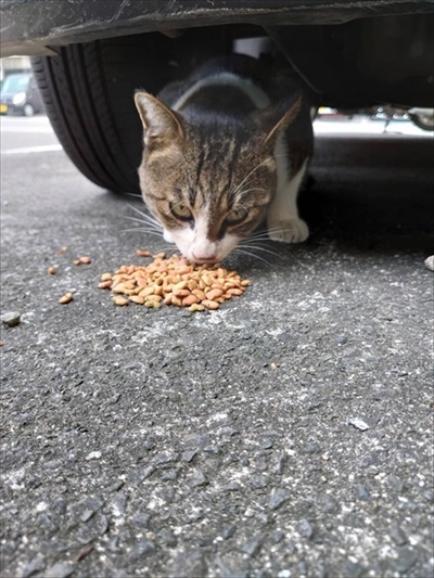 新玉旅館クラウドファンディング