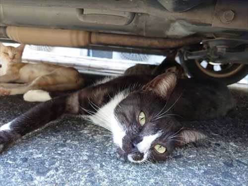 新玉旅館クラウドファンディング