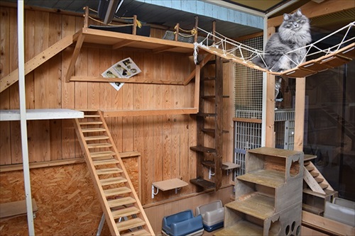 新玉旅館クラウドファンディング