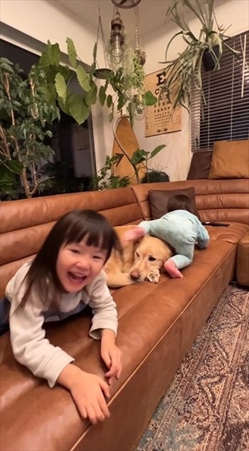 子どもたちに踏まれても怒らないゴールデン