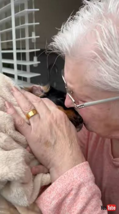 孫の子犬サプライズにばあば感動