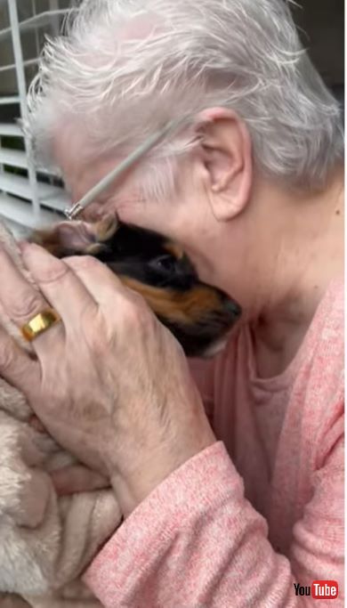 孫の子犬サプライズにばあば感動