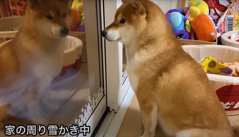 家の周りを雪かき中テロップ