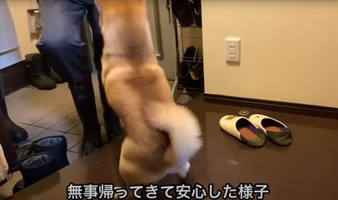 無事帰ってきて安心したテロップ