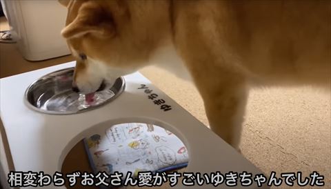 相変わらずお父さん愛が強いテロップ