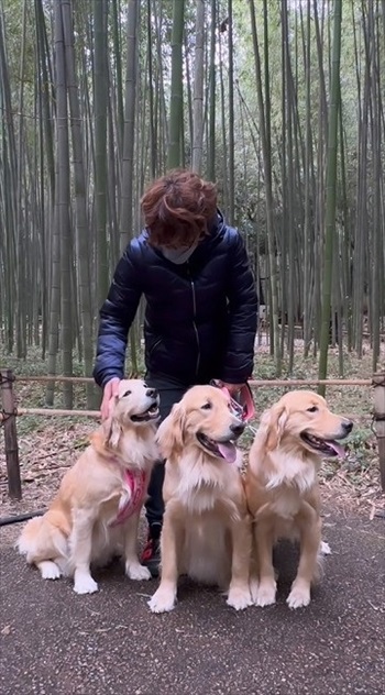 尻尾フリフリワンちゃん