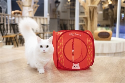 CIAOちゅ〜るのブランドブック