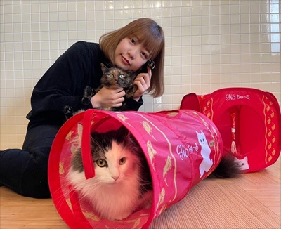 CIAOちゅ〜るのブランドブック