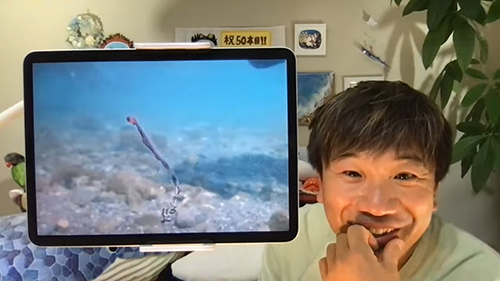 YouTube縦に泳ぐリボンイワシ