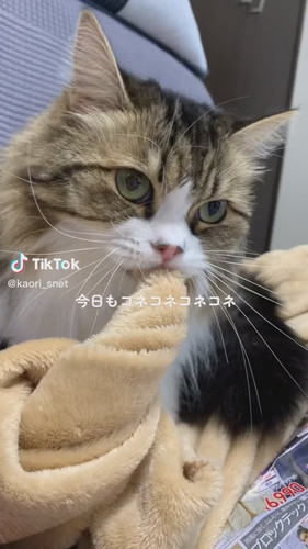 おすすめ