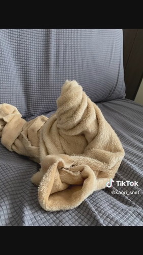 クロワッサン職猫おとちゃん