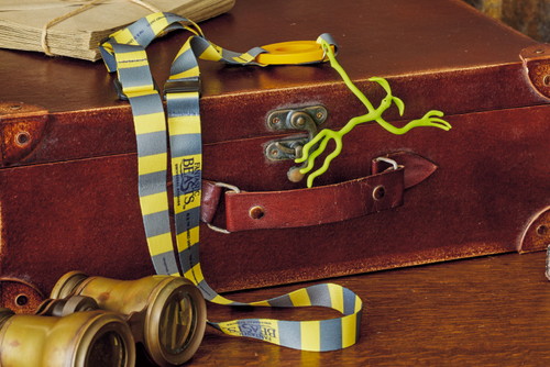 「マジカル・クリーチャーズ・エンカウンター　〜魔法生物との出会い〜」