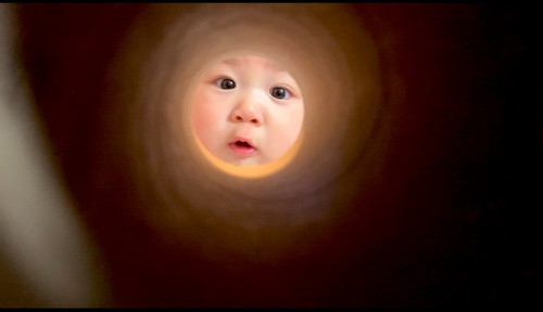 トイペの芯から赤ちゃん