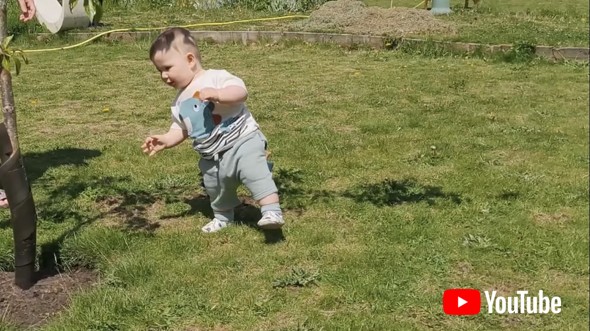 This Baby Loves Trees || ViralHog