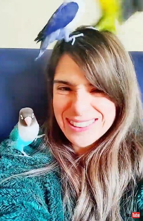 鳴きマネに集まるボタンインコ